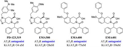 Design, synthesis and biological evaluation of novel biphenylsulfonamide derivatives as selective AT2 receptor antagonists